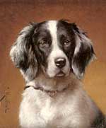 Carl Reichert: Studie eines Spaniels